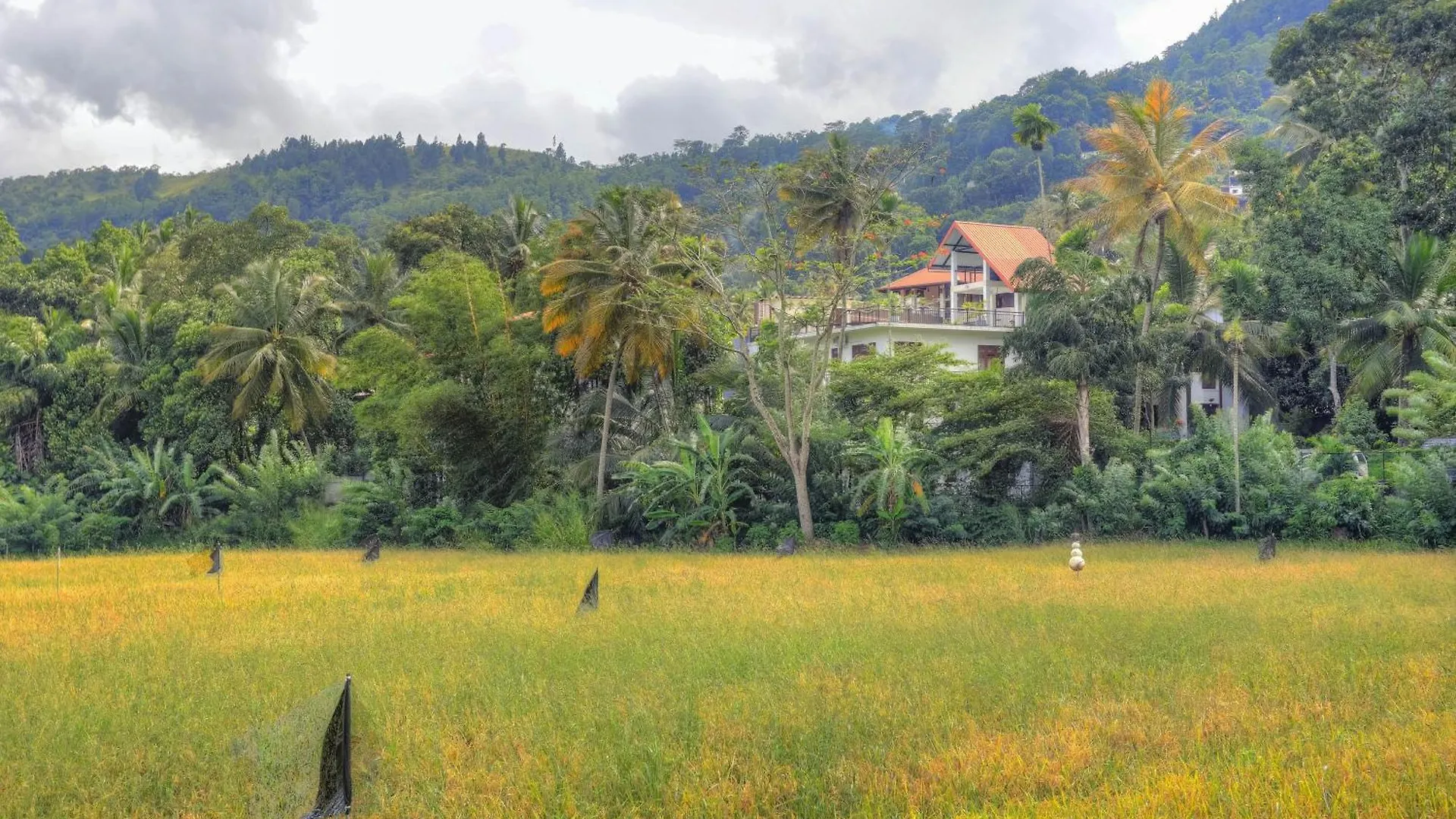 Homestay Sienna Retreat, Kandy Ampitiya